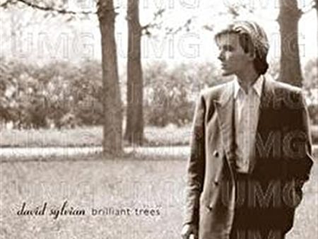 SYLVIAN,DAVID - BRILLIANT TREES Fashion