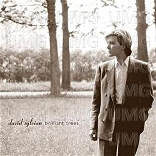 SYLVIAN,DAVID - BRILLIANT TREES Fashion